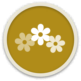 icon_skill_20305010.png