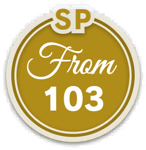 icon_skill_19315020.png